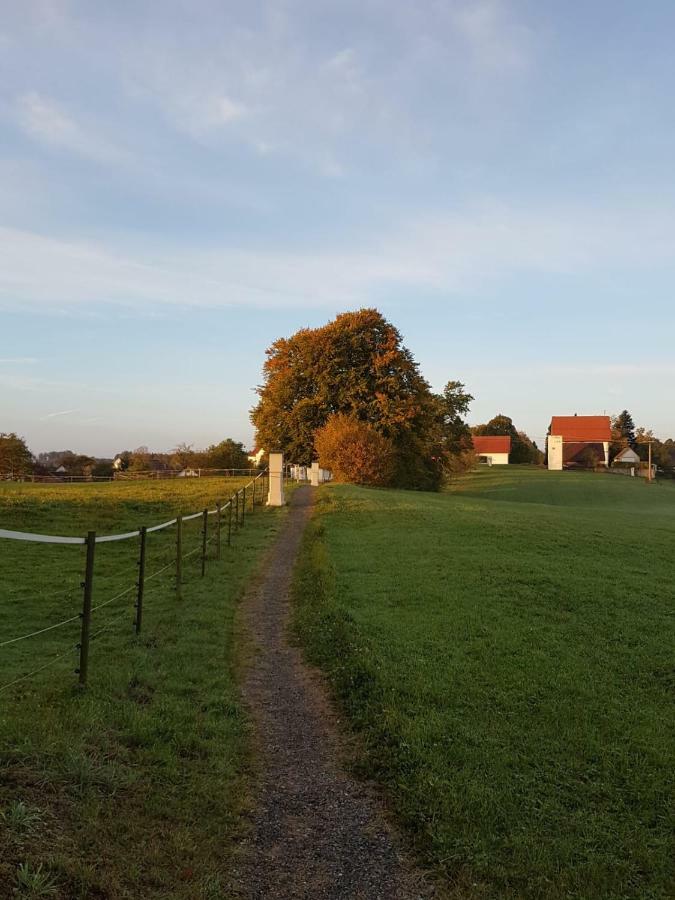 Ferienwohnung Dressler Wolfegg Exteriér fotografie